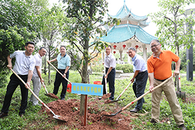 �������½����� ������ͼ������